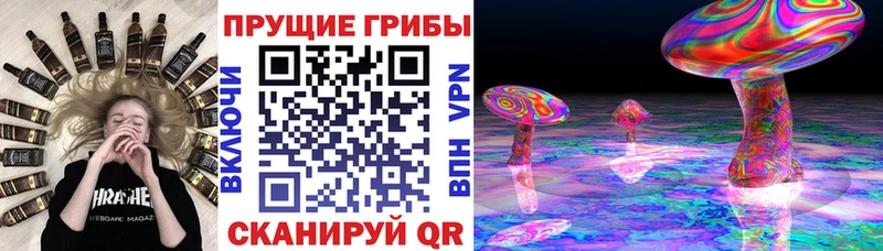 Псилоцибиновые грибы Cubensis  Микунь 